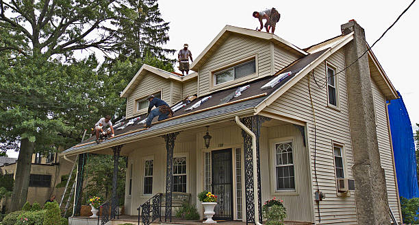 Best Shingle Roofing Installation  in Hurlburt Field, FL